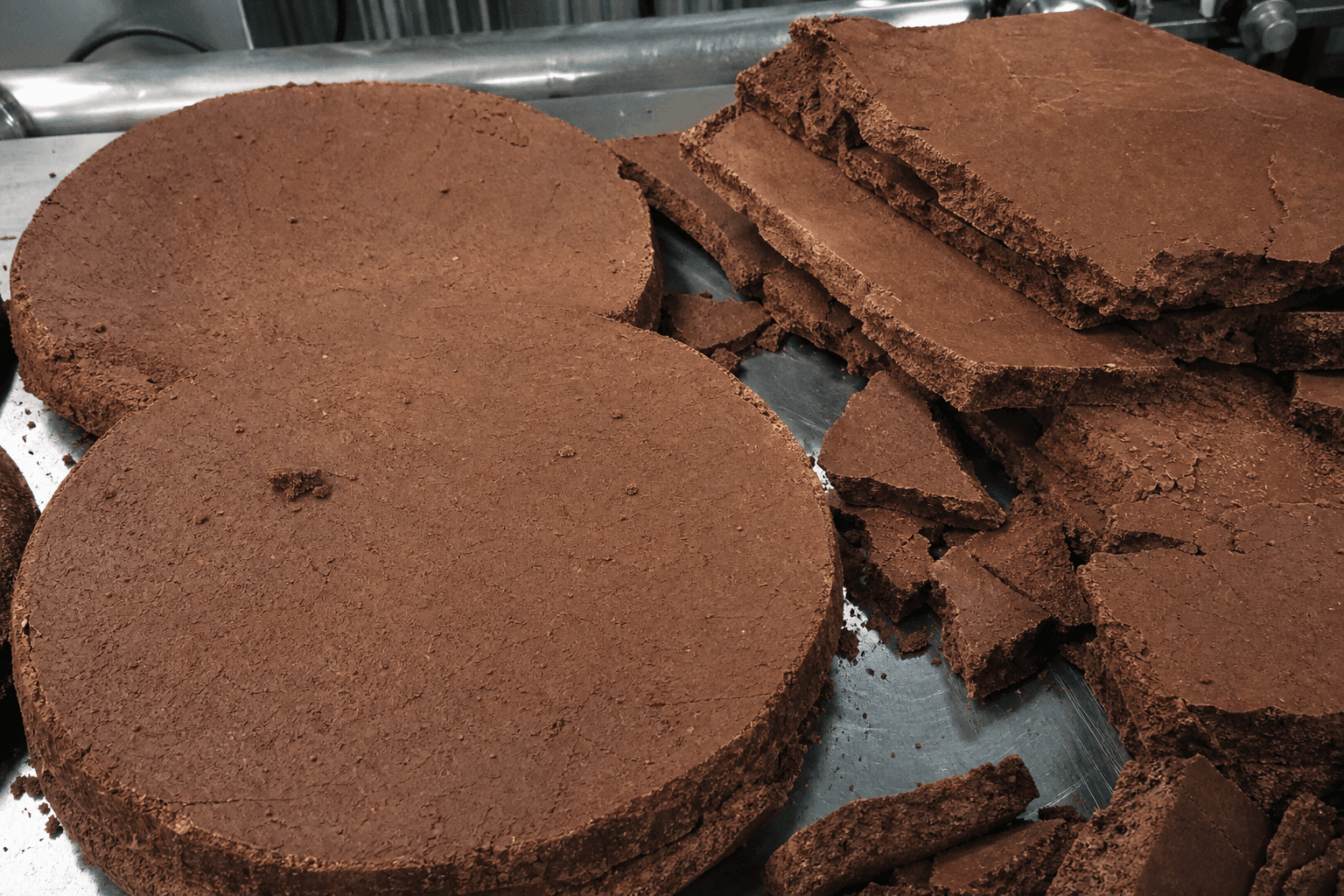 Tourteau de cacao
